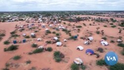 Influx of Refugees Straining Facilities at Kenyan Camps, Agencies Say 