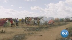 Refugees in Kenya Pursue Entrepreneurship Amid UNHCR Funding Shortfall