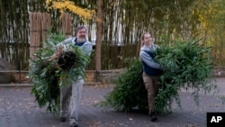 Smithsonian National Zoo and Conservation Biology Institute staff members carry bamboo to be transported with giant pandas Mei Xiang, Tian Tian and Xiao Qi on their journey aboard the Panda Express to China, Nov. 8, 2023.