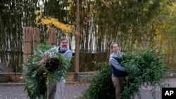 Smithsonian National Zoo and Conservation Biology Institute staff members carry bamboo to be transported with giant pandas Mei Xiang, Tian Tian and Xiao Qi on their journey aboard the Panda Express to China, Nov. 8, 2023.