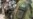 16x9 Image