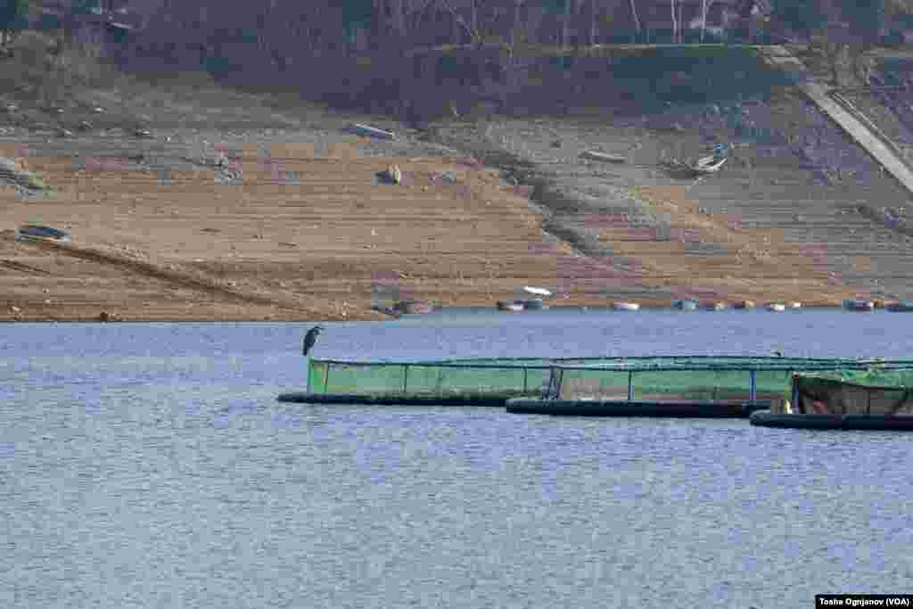 Тиквешко Езеро