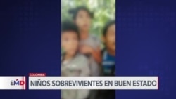 Sanos y a salvo se encuentran cuatro niños que sobrevivieron 40 días en la selva en Colombia