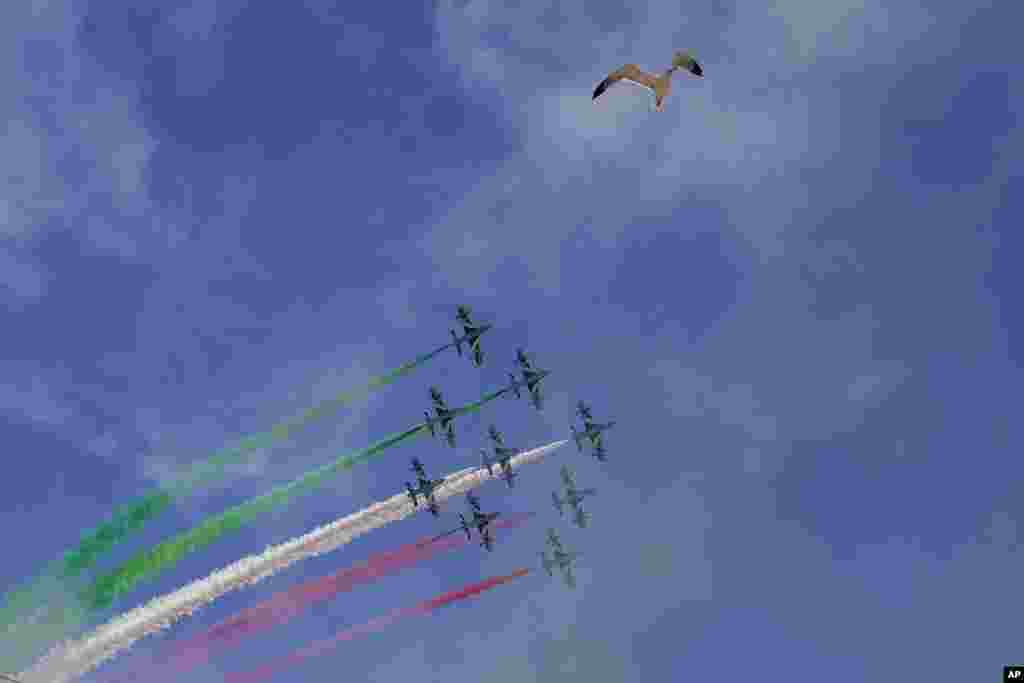 Tim aerobatik AU Italia, Frecce Tricolori (Tricolor Arrows) terbang bersama seekor burung camar di akhir perayaan Hari Republik ke-77 di Roma, 2 Juni 2023. (Foto: AP)