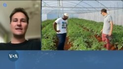 Using AI to Boost South Africa's Farming Industry