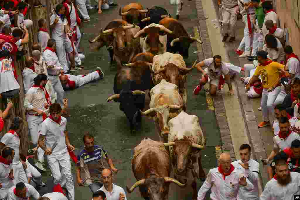 La Palmosilla's fighting bulls run among revelers during the first day of the running of the bulls during the San Fermin fiestas in Pamplona, Spain.