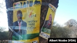 Zimbabwe elections campaign