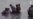 16x9 Image