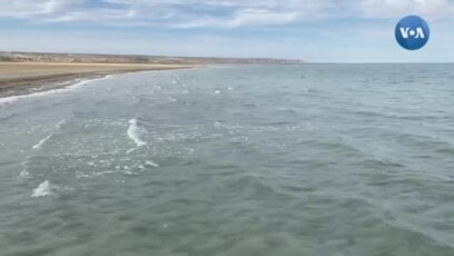 Orol dengiziga borsangiz, nima ko'rasiz? 