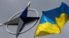 Украинский путь в НАТО: когда, как и почему