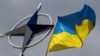 Lideri NATO: Poziv Ukrajini kad se saglase saveznici i ispune uslovi