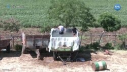 Traktör römorku havuz oldu