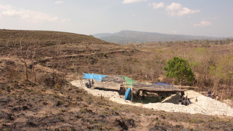 Fossils suggest even smaller 'hobbits' roamed Indonesian island 700,000 years ago