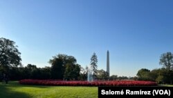El Jardín Sur tiene una privilegiada vista al obelisco en la Explanada Nacional de Washington. En él se levanta una fuente adornada de flores.