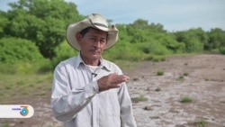 Cambio climático impacta las tierras costeras salvadoreñas