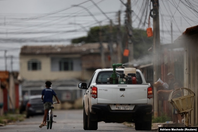 A truck sprays a street with insecticide to kill the Aedes aegypti mosquito. The effort is aimed at slowing a dengue outbreak in the Santa Maria neighborhood of Brasilia, Brazil, on January 23, 2024. (REUTERS/Adriano Machado)