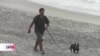 Las playas más contaminadas de México están en la frontera con EEUU