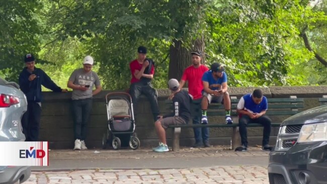 El reto de Nueva York para ocupar a los migrantes El reto de Nueva York para ocupar a los migrantes