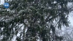 2024-yilning ilk qori, Vashington, AQSh