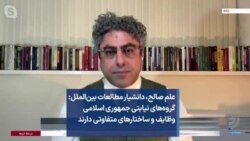 علم صالح، دانشیار مطالعات بین‌الملل: گروه‌های نیابتی جمهوری اسلامی وظایف و ساختارهای متفاوتی دارند 