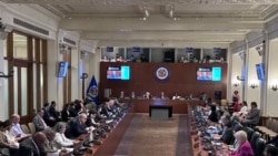 La CIDH informa en el Consejo de Seguridad de la OEA sobre el aumento de represión en Venezuela