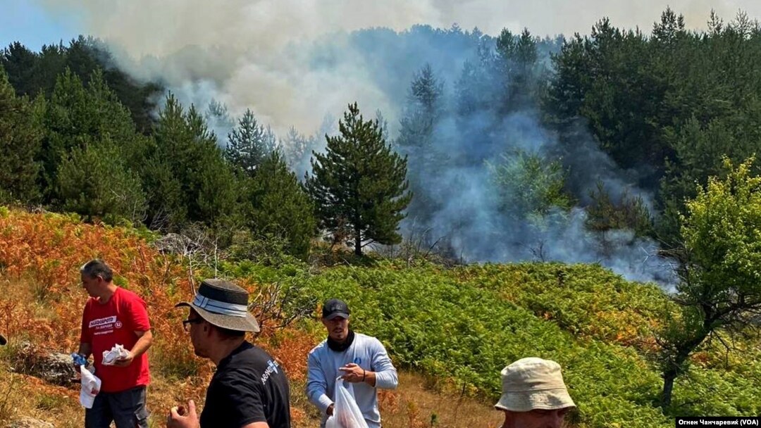 Главната битка со пожарите денеска, 31 јули, се води во околината на Пехчево