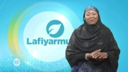 LAFIYARMU: Hira Da Dr Ibrahim, Kwararen Likitan A Najeriya