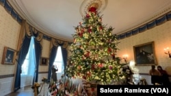 La Sala Azul exhibe el árbol de Navidad oficial de la Casa Blanca, un pino de más de cinco metros que fue transportado desde Carolina del Norte. Este se eleva desde el piso hasta el techo, llenando la sala ovalada.