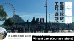 林正軒自設網站介紹滅鼠日常。（圖片來源：我在倫敦捉老鼠 Catch Mouse in London 臉書網站）