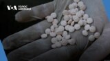 Час-Time. Бойовиків ХАМАСу стимулюють наркотиками
