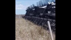 中国精酿啤酒业喜迎澳大利亚大麦重返市场