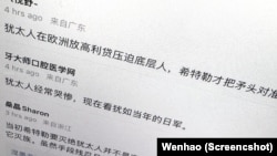 一些中國網民為希特勒對猶太人的屠殺做辯護（2023年10月10日）