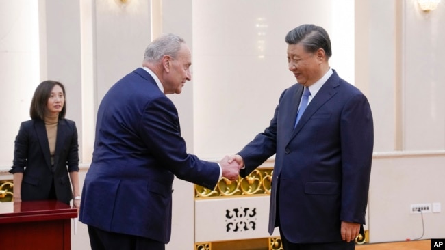资料照片：中国领导人习近平在北京人大会堂会晤到访的美国国会参议院多数党领袖查克·舒默。（2023年10月9日）