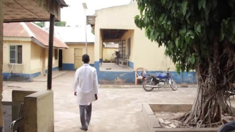 Solar Grid Brings Light, Progress to Rural Nigerian Community...