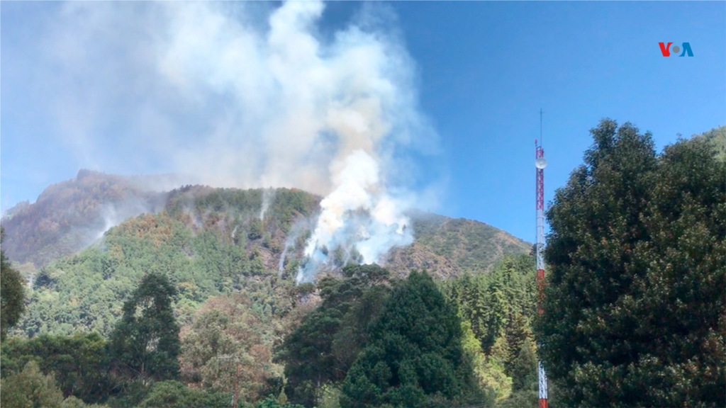 El cerro El Cable, lleno de vegetación, arde en llamas. Este es uno de los sectores donde se han presentado incendios forestales en Bogotá, Colombia.