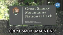 Amerikaga sayohat: Greyt-Smoki-Mauntins 