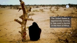 Helping to Avert Famine In Horn of Africa