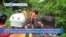 VOA60 World - Indonesia: Eleven hikers found dead, 12 missing after volcano eruption