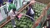 မြန်မာ့ဖရဲ တရုတ်မဝယ် “လယ်ယာစီးပွားသတင်းများ”