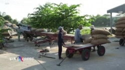 Việt Nam ra mục tiêu giảm xuất khẩu gạo hàng năm