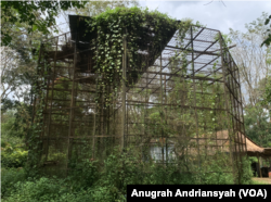 Kondisi kandang satwa di Medan Zoo, Kota Medan, Sumatra Utara, yang telah kosong dan dipenuhi tumbuhan liar, Jumat, 12 Januari 2024. (VOA/Anugrah Andriansyah)