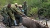 Kenya Moving Rhinos to New Home