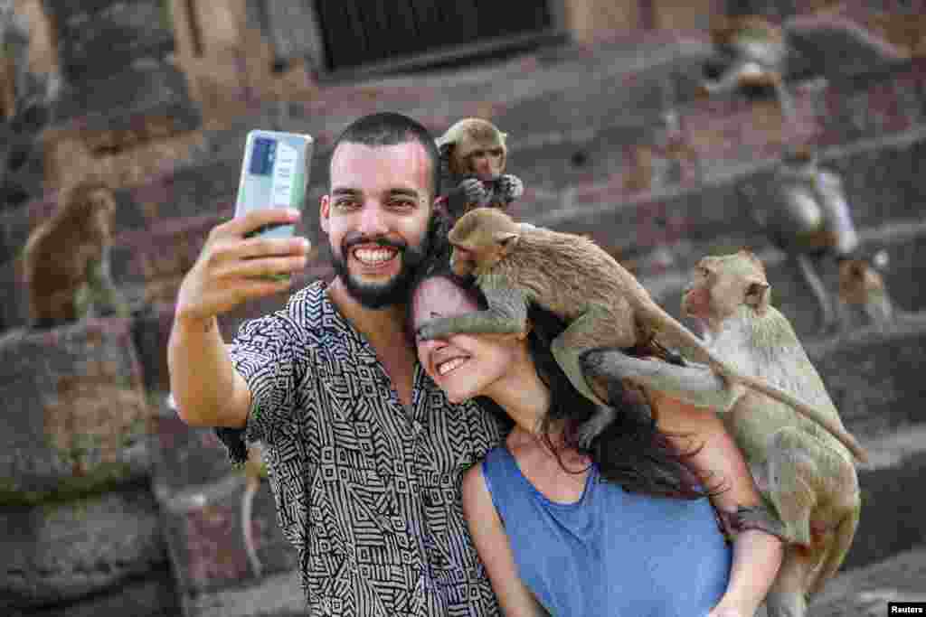 Monkeys climb onto tourists during the annual Monkey Festival in Lopburi province, Thailand.