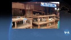 Maraboutage,superstition à Bobo Dioulasso Ndjaye 11 30 23 .mp4