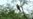 El cambio climático amenaza el 78 % de las especies de aves en Colombia