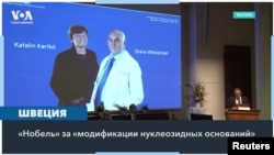 CT Boldina Nobel Prize in Medicine 10022023