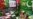 Pakistan's Senate Passes Resolution to Delay Elections