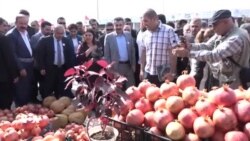 نیگەرانی جوتیاران لە ساغ نەبوونەوەی بەرهەمی ناوخۆ