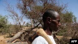 FILE - A Somali man walks with an ax to cut down trees and make charcoal in the village of Jalelo, Hargeisa, Oct. 31, 2012.