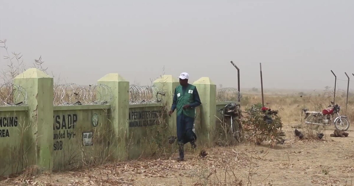 Agro-Pastoral Project Aims to Resolve Farmer-Herder Crisis in Nigeria